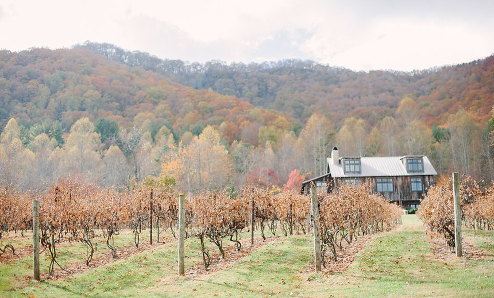 The Wedding Website of Alyssa Brown and Dan Frechtling