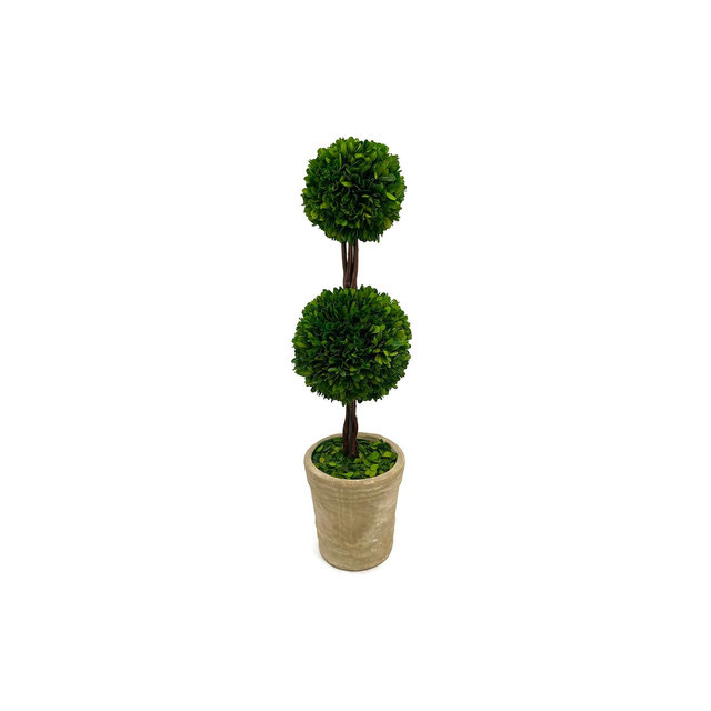 Modern Home 27" Real Preserved Boxwood Double Ball Topiary