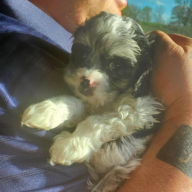 The day we got Princeton James