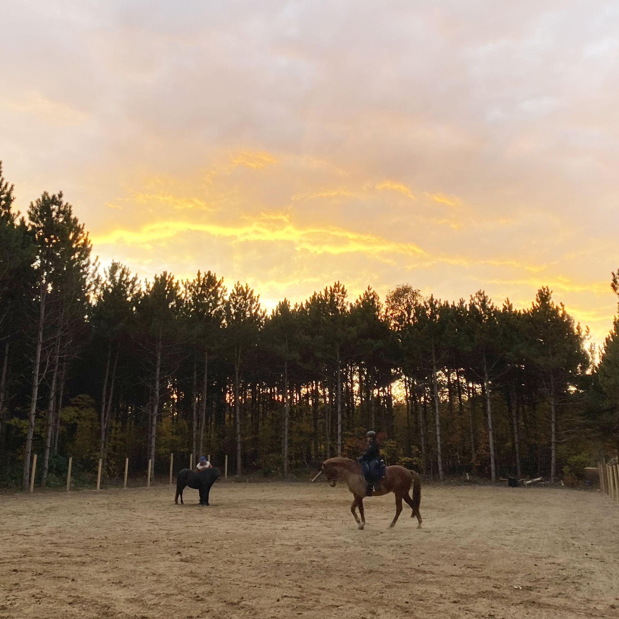 Cassidy and Yogi, and Dave and Juniper utilizing the new riding arena.