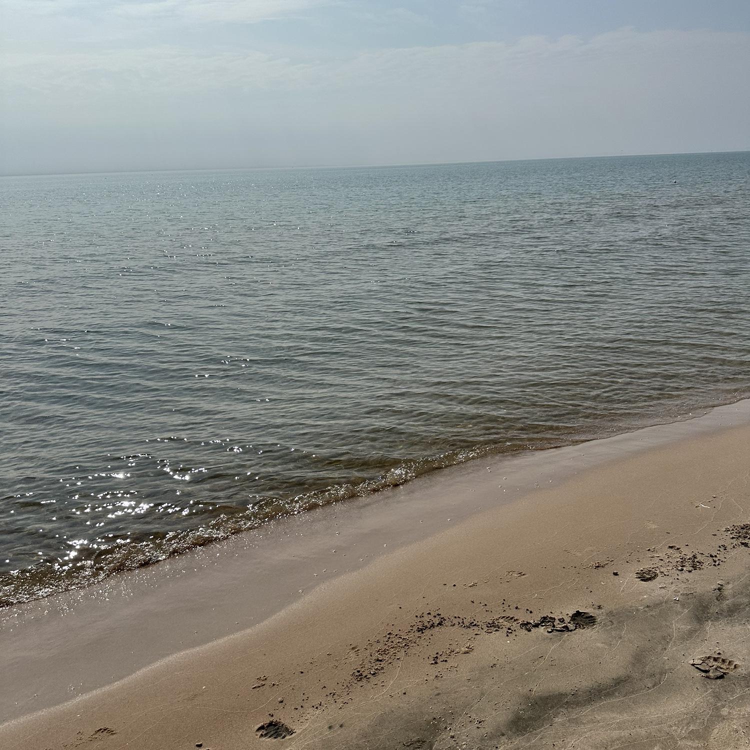 The spot!