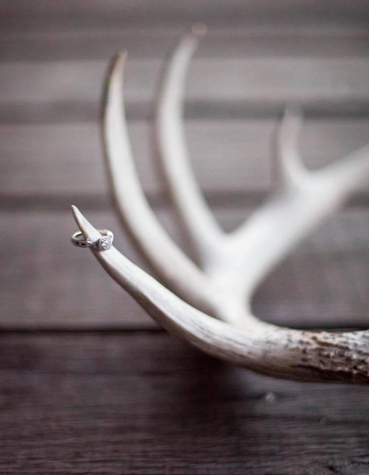 The Wedding Website of Breanna Wright and Randy Presley