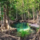 Parque Nacional Los Haitises