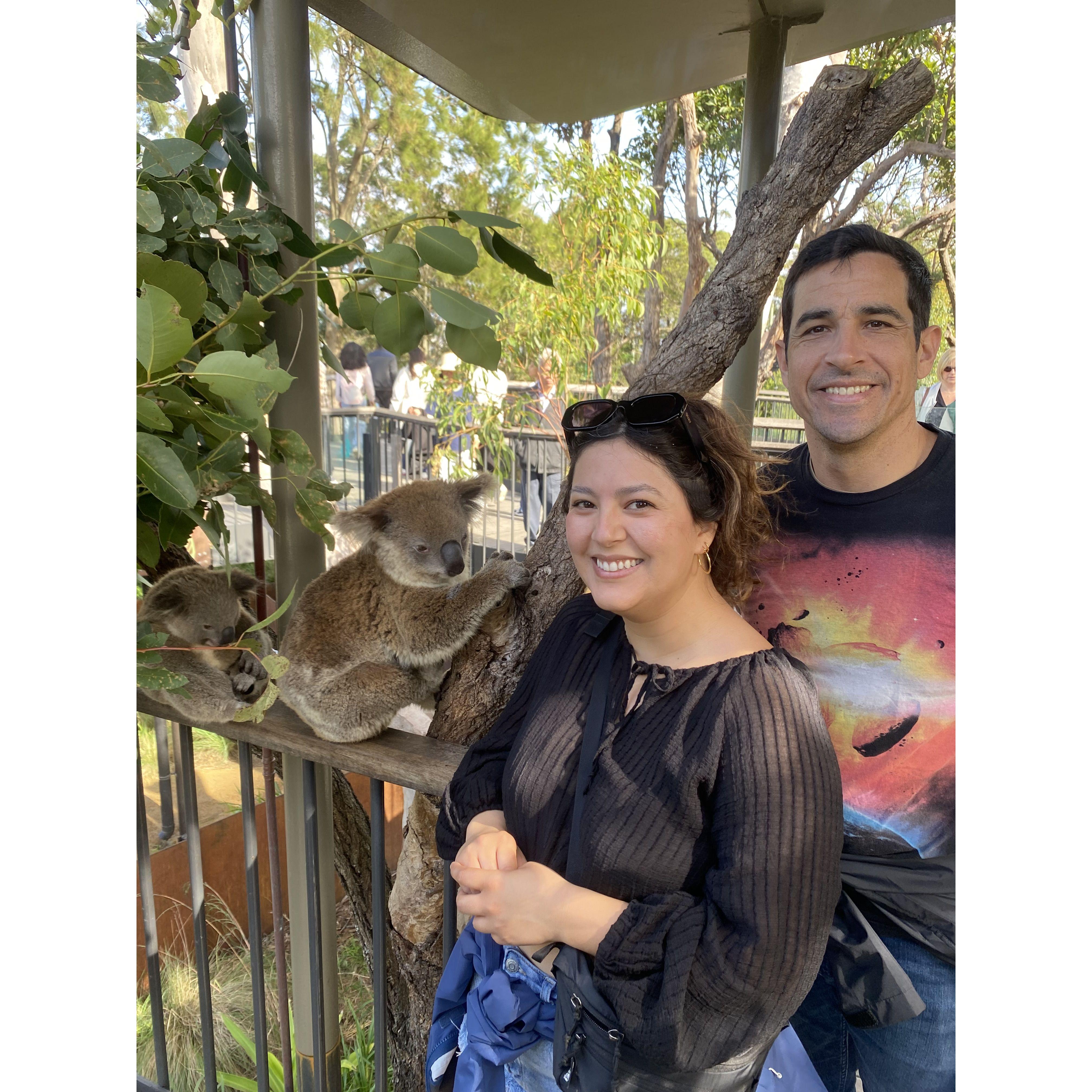 Zoo day at Toranga Zoo in Sydney!
