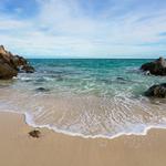The Ocean