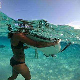 Stingray City & Snorkel Boat Tour for 2 - Cayman Islands