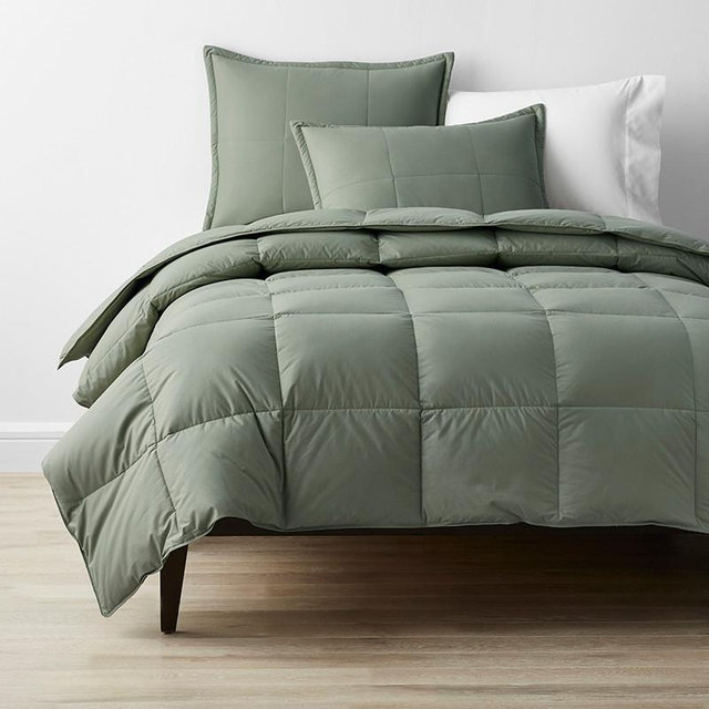 Premium LoftAIRE™ Down Alternative Comforter (Dull/Queen, Thyme)