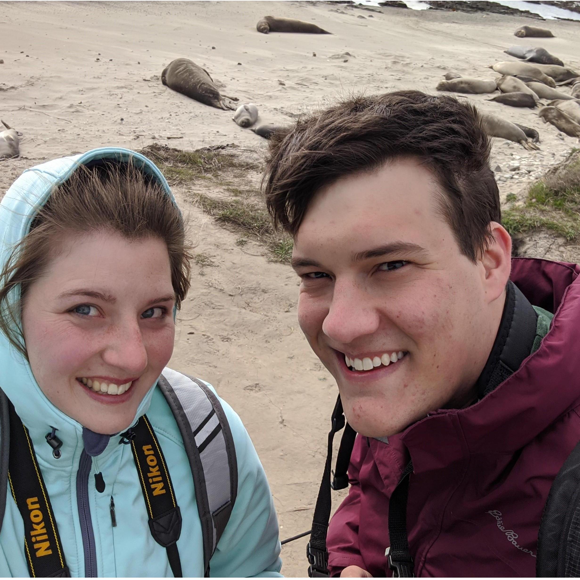 Adventures with Elephant Seals