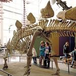 Science Museum of Minnesota
