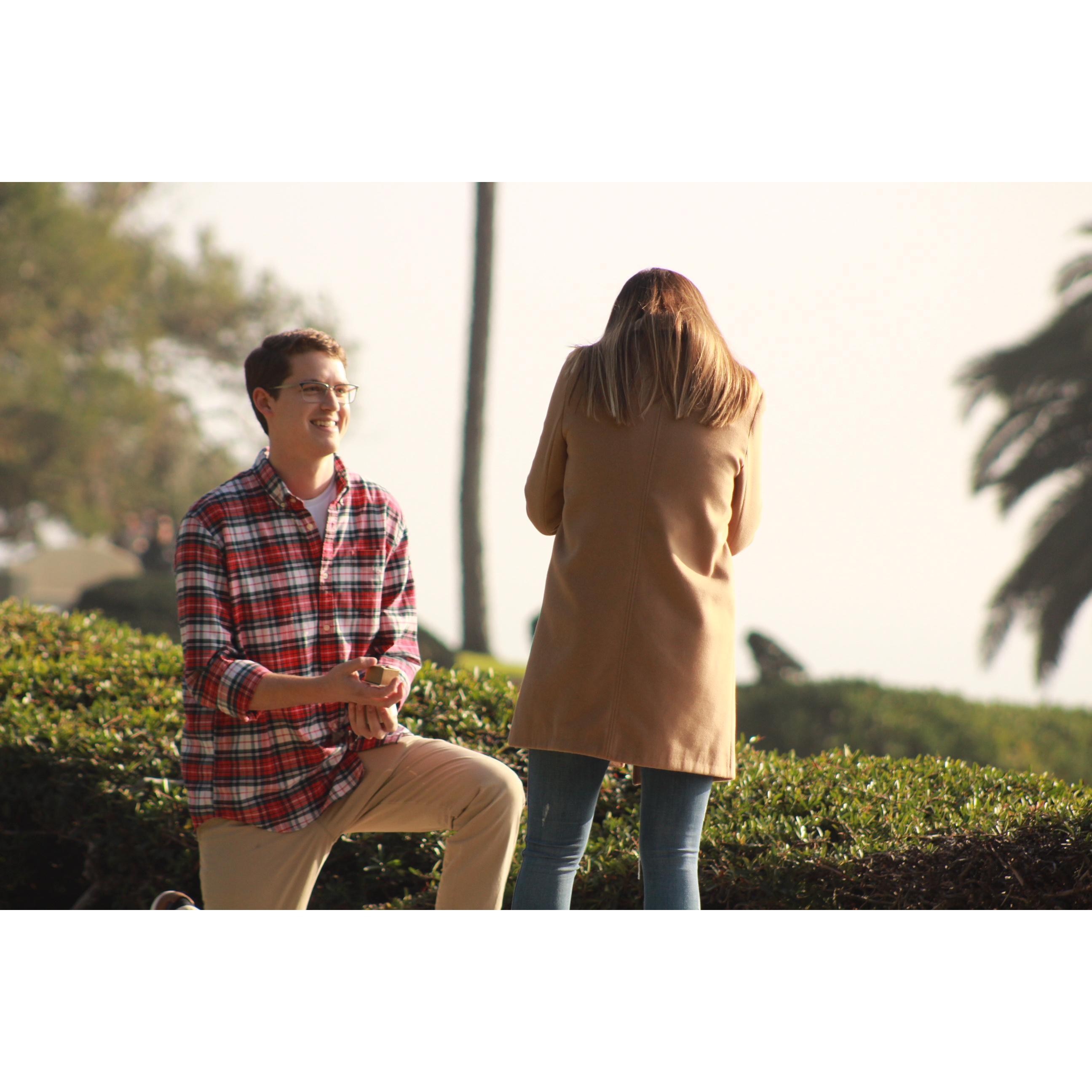 The Proposal 12/24/2018