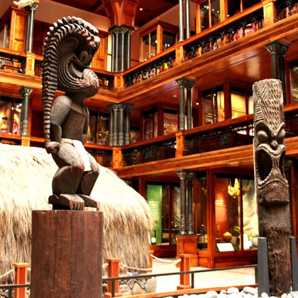Bishop Museum Tickets For Two