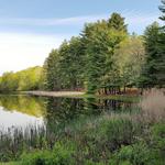 Chatfield Hollow Brook