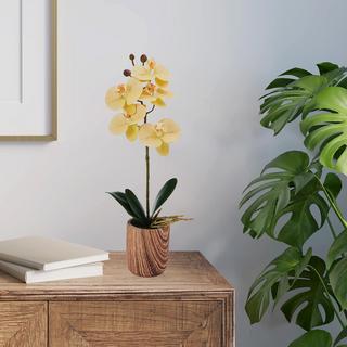 Artificial Orchid in Faux Wood Cement Pot, Set of 2