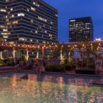 Ace Hotel, and Alto Rooftop Bar and Pool