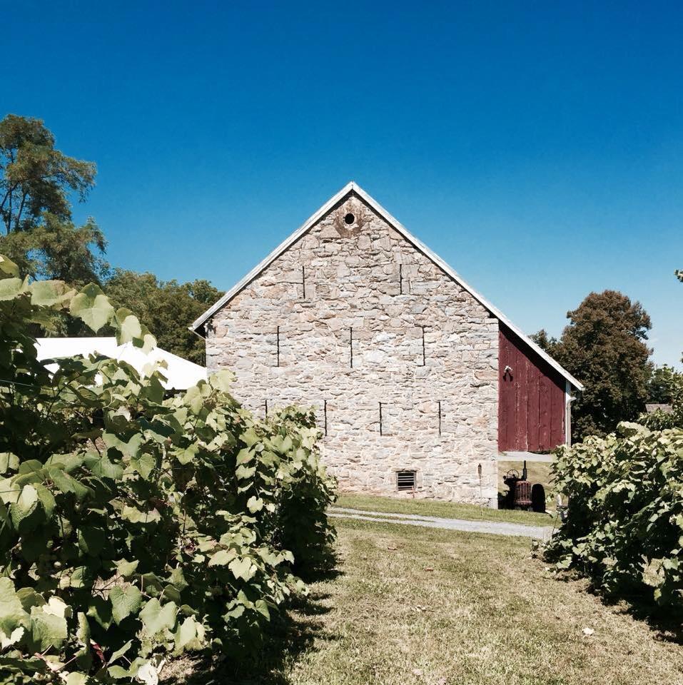The Wedding Website of Olivia Craft and Ryan Furiak