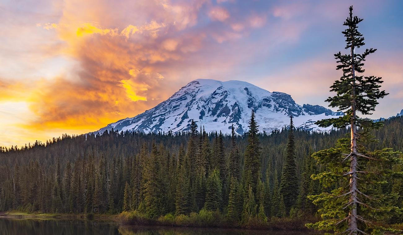 The Wedding Website of Victoria Williams and Fernando Rivas