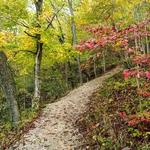 Rockwoods Reservation
