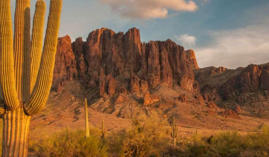 The Wedding Website of Devyne Totton and Cole Bell