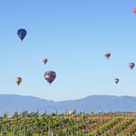 Hot Air Balloon Ride