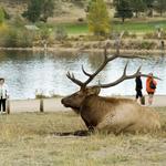 Estes Park Visitor Center