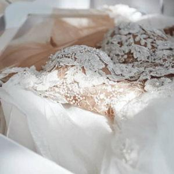 Wedding Dress Preservation Fund