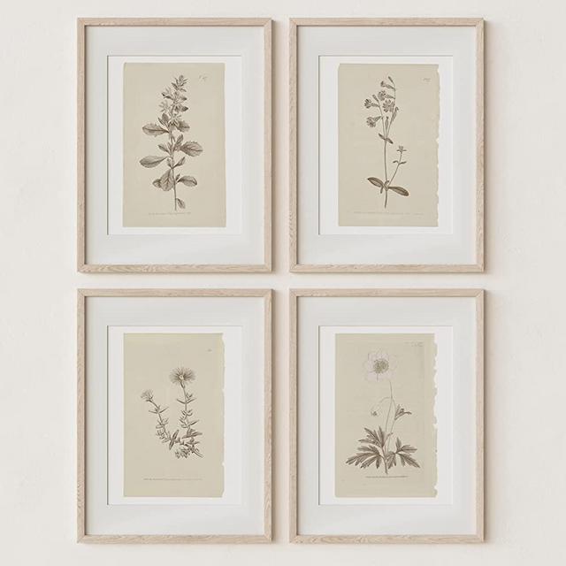 Wall Art Botanical Plant Prints | Vintage Flower Boho Minimalist Floral Artwork Decor for Bedroom, Living Room, Bathroom, Home or Office Walls | Botanical Study Prints | Set of 4 UNFRAMED Pictures (8 x 10)