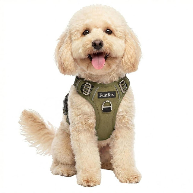 Funfox Dog Harness No Pull, Adjustable Pet Vest Harness, Super Soft Material with Vertical Handle Easy Control, Reflective Night Walking, 2 Leash Clips for Small Sized Dogs, Army Green, S