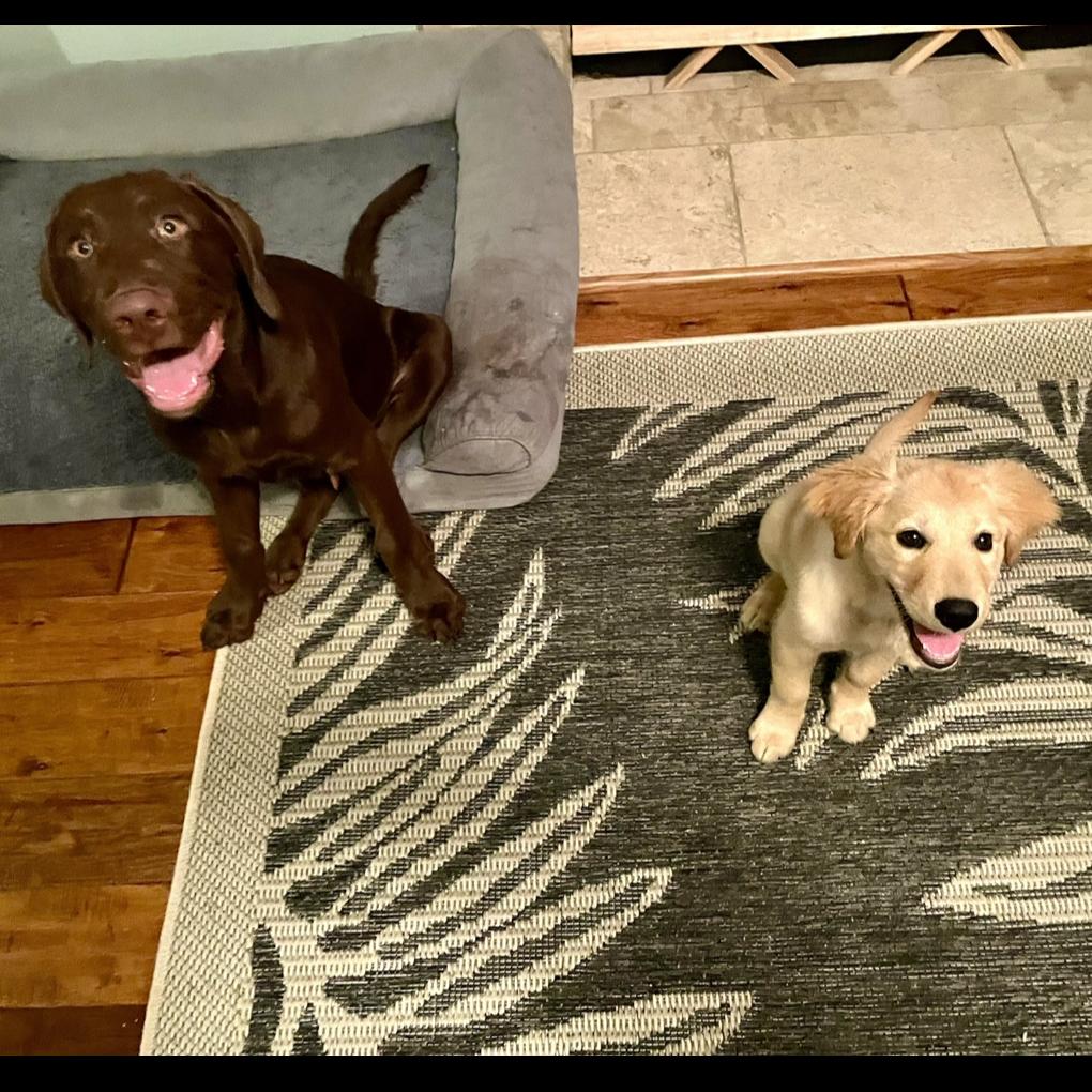 Finn & Franny’s Pamper Funds