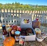 Boa Vista Orchards