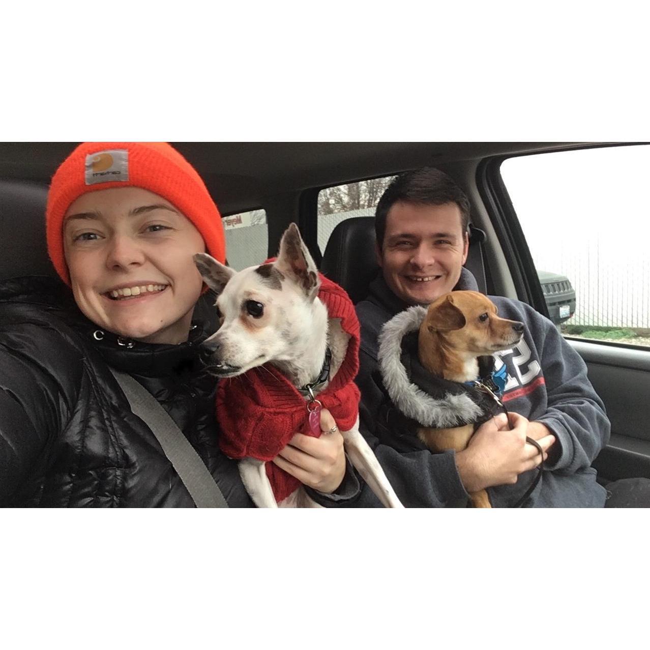 The doggies get bundled up with us in the winter!