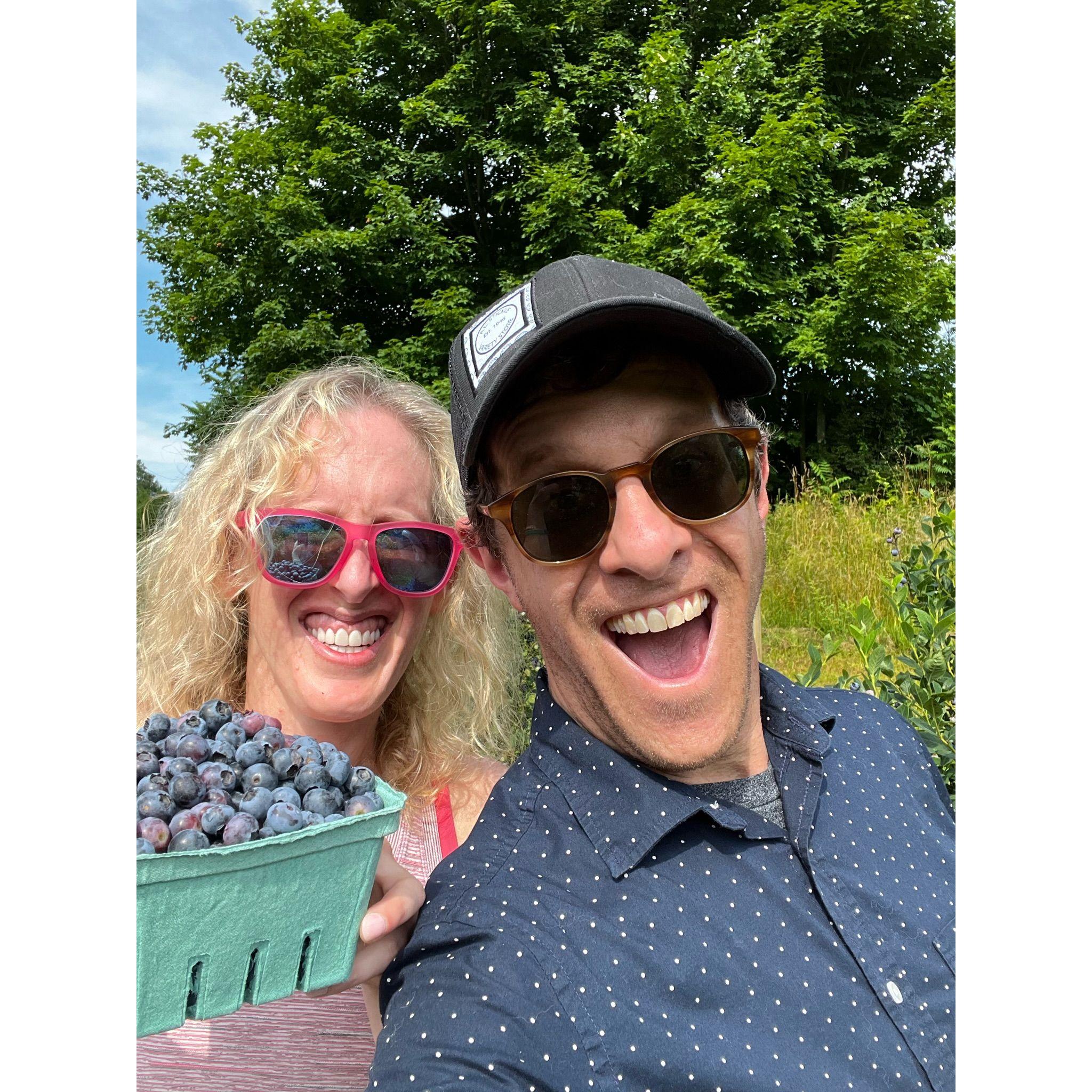 Blueberry picking upstate