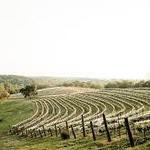 Montaluce Winery & Restaurant