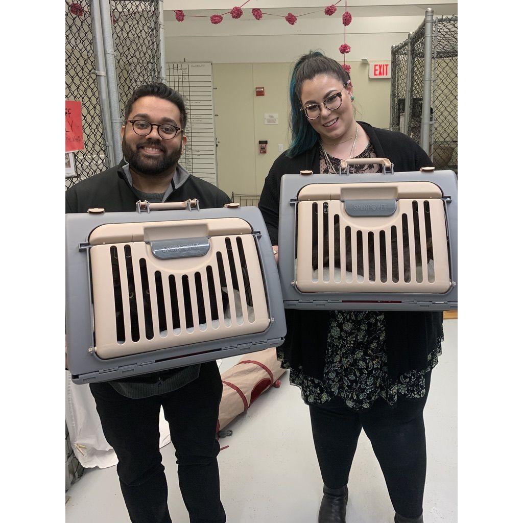 Kitty adoption day!!!