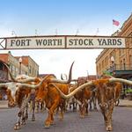Fort Worth