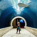 Dallas World Aquarium