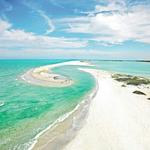 Island Girl Charters