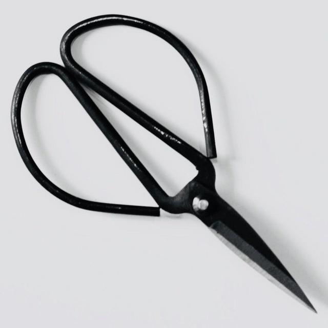Forged Steel Pruners