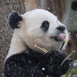 Smithsonian National Zoological Park