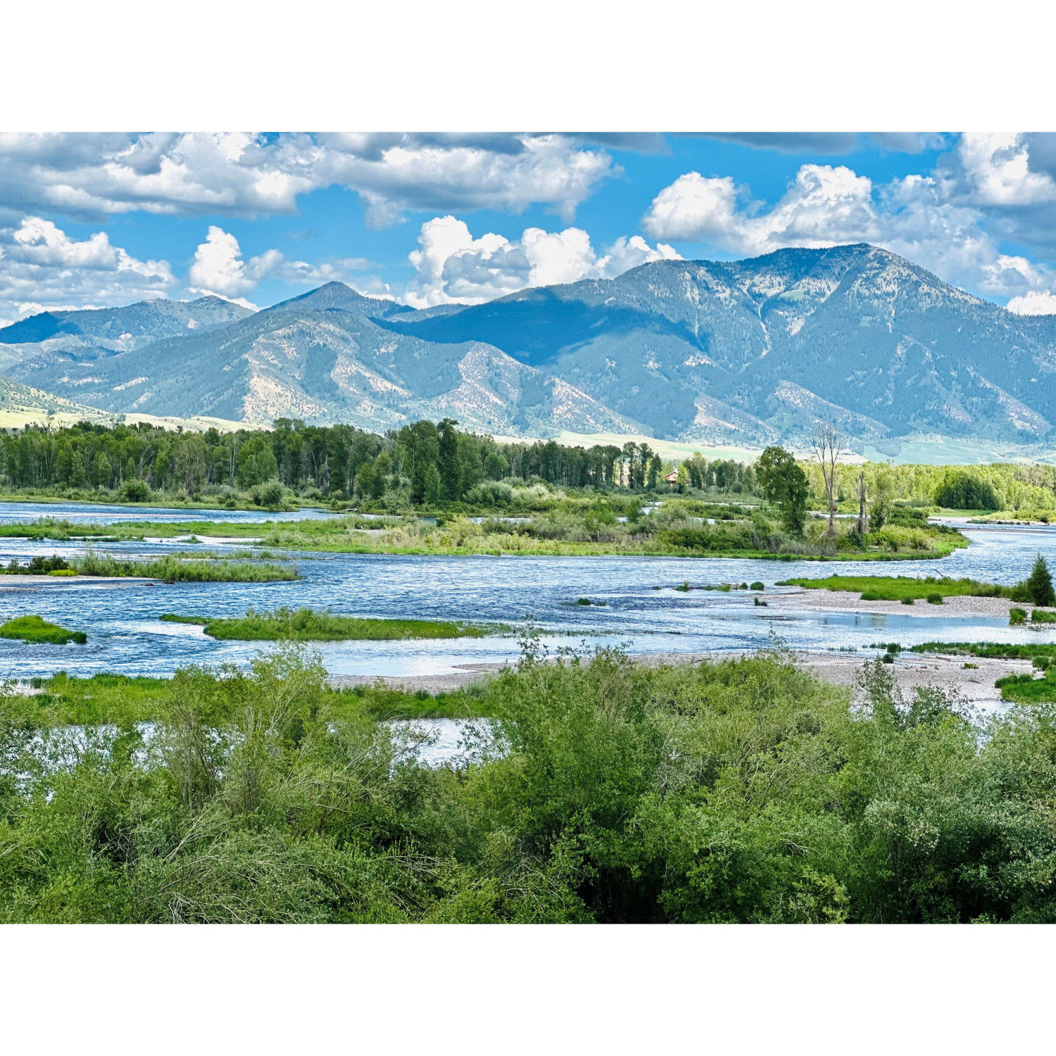 Swan Valley, ID