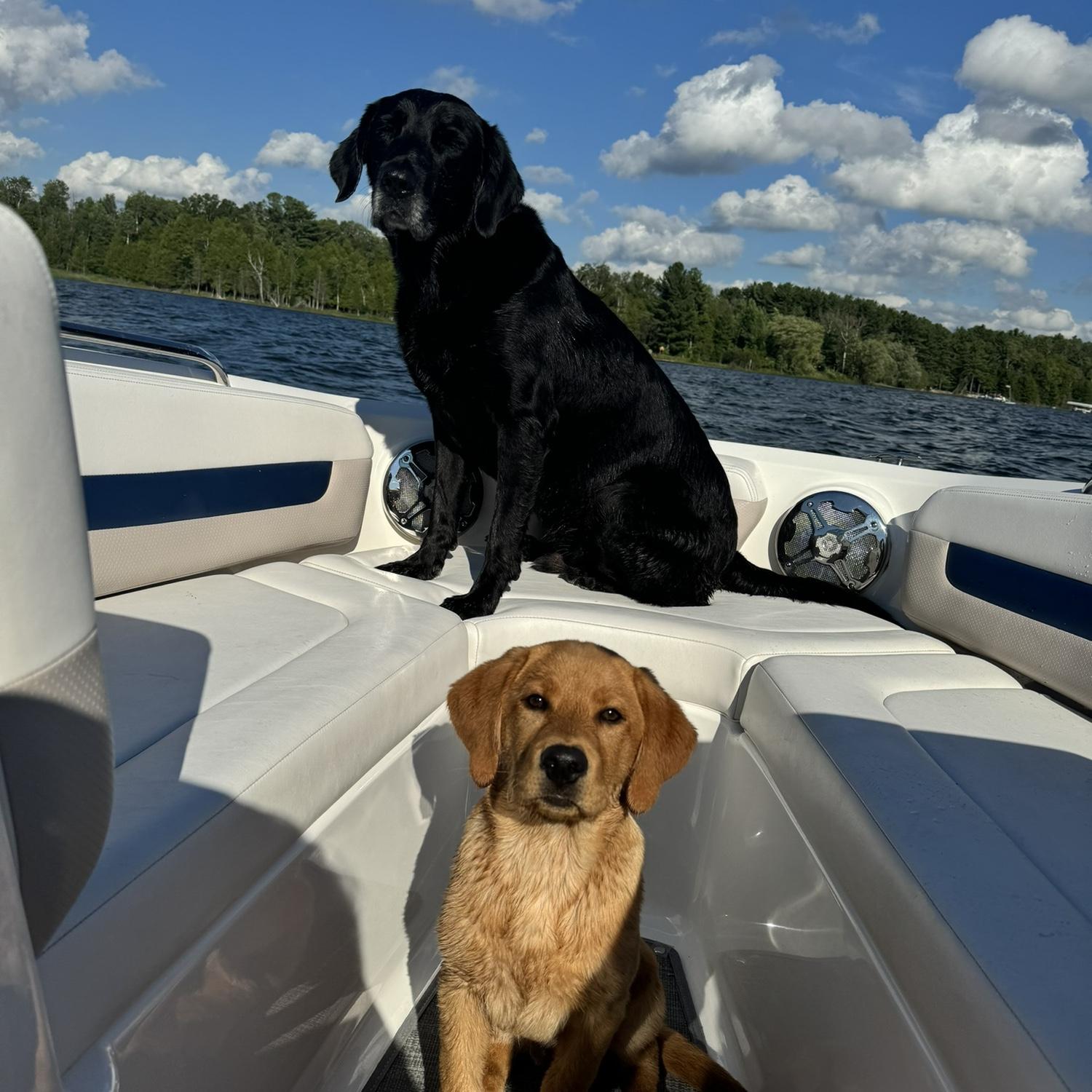 Introducing Wendal to Charlevoix! Shea is teaching him how to do it.