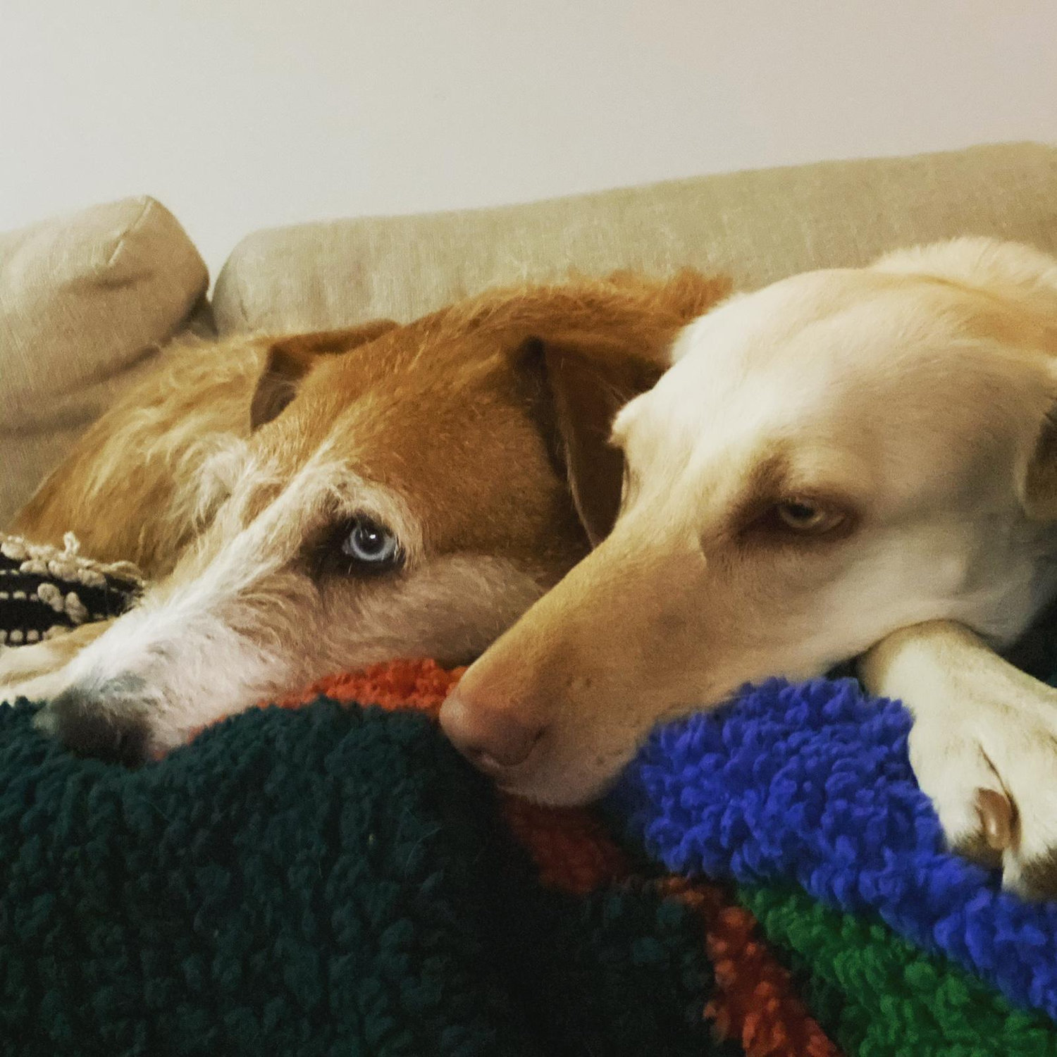 The sweetest sisters 🤍