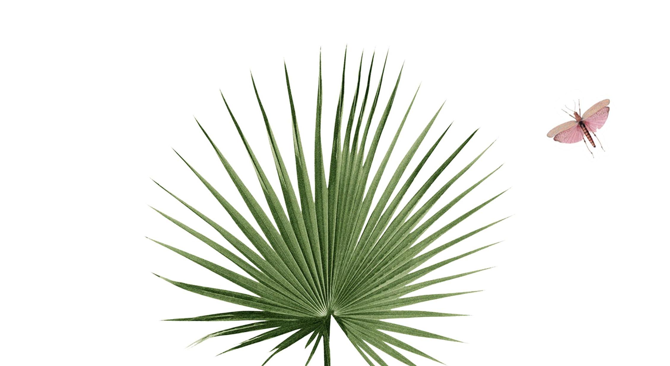 Footer image
