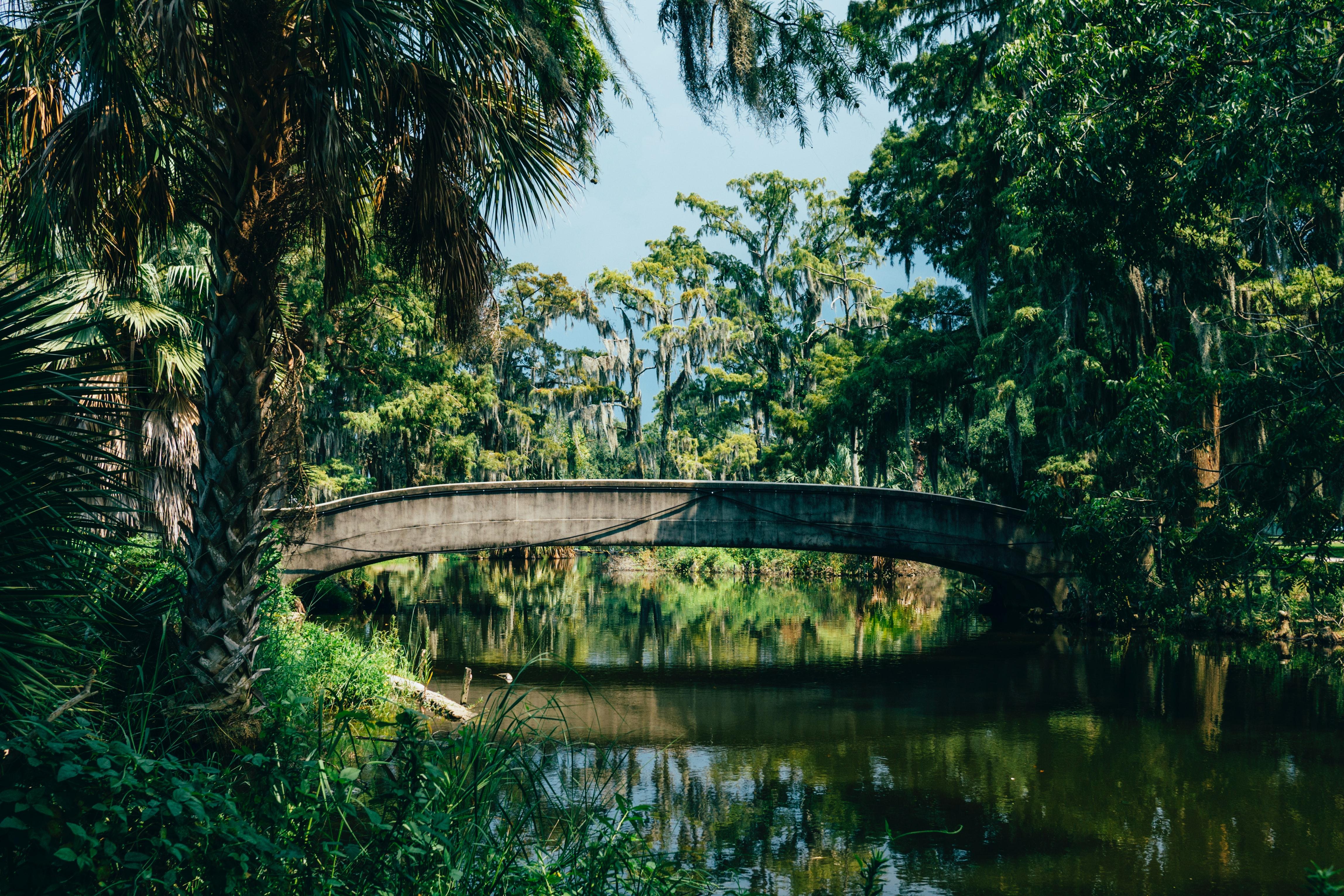 The Wedding Website of Veronica Mollere and Tyler Jones