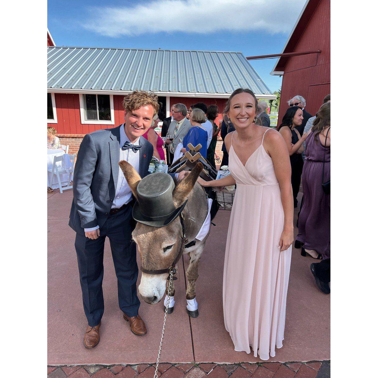 This was at Kara's brother and sister-in-law's wedding in June 2023! We loved the burro during cocktail hour.