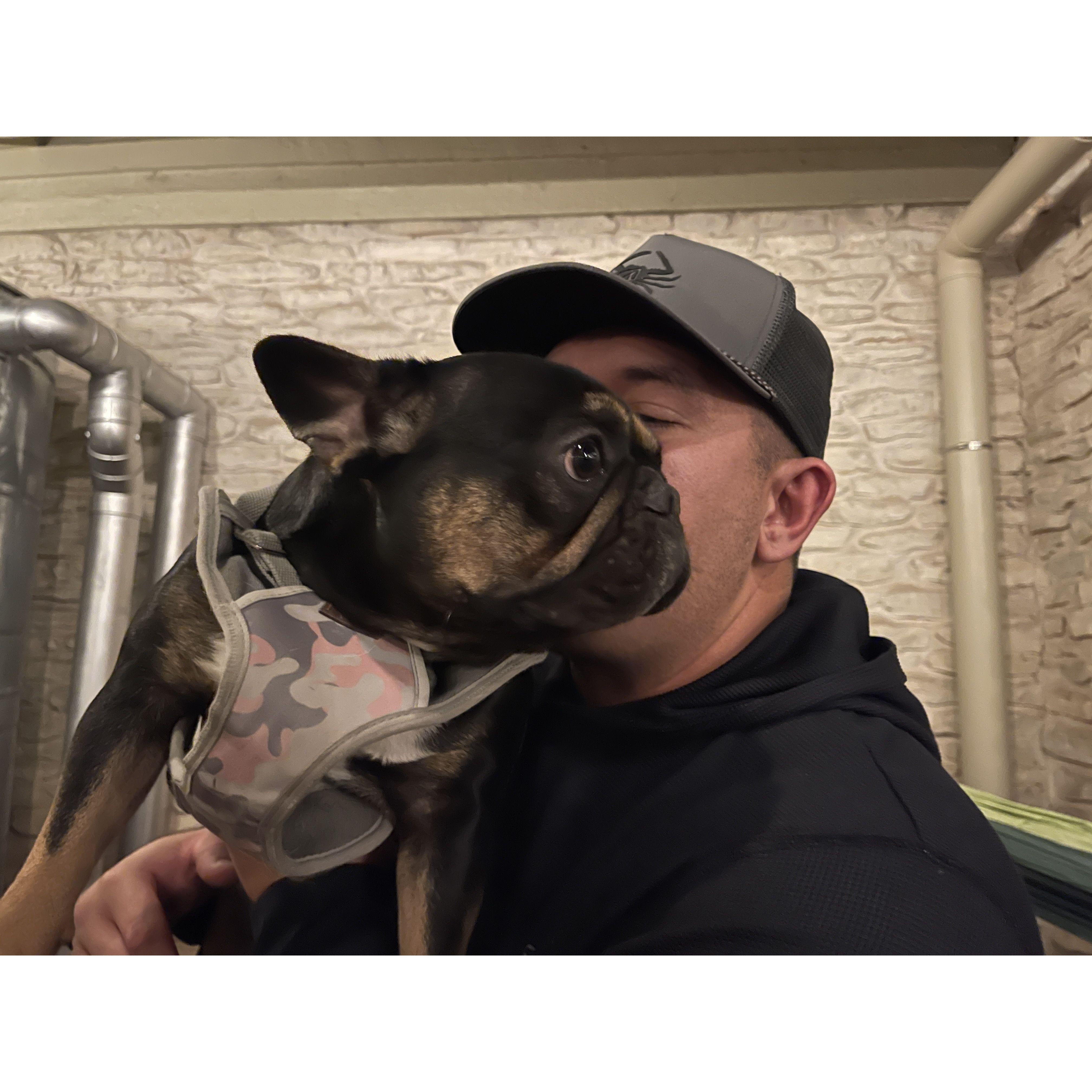 Furiosa the frenchie