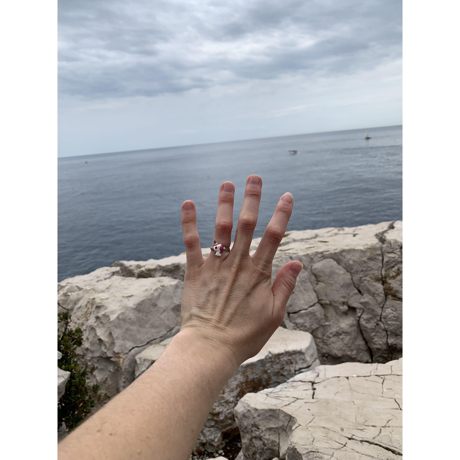 The ring!