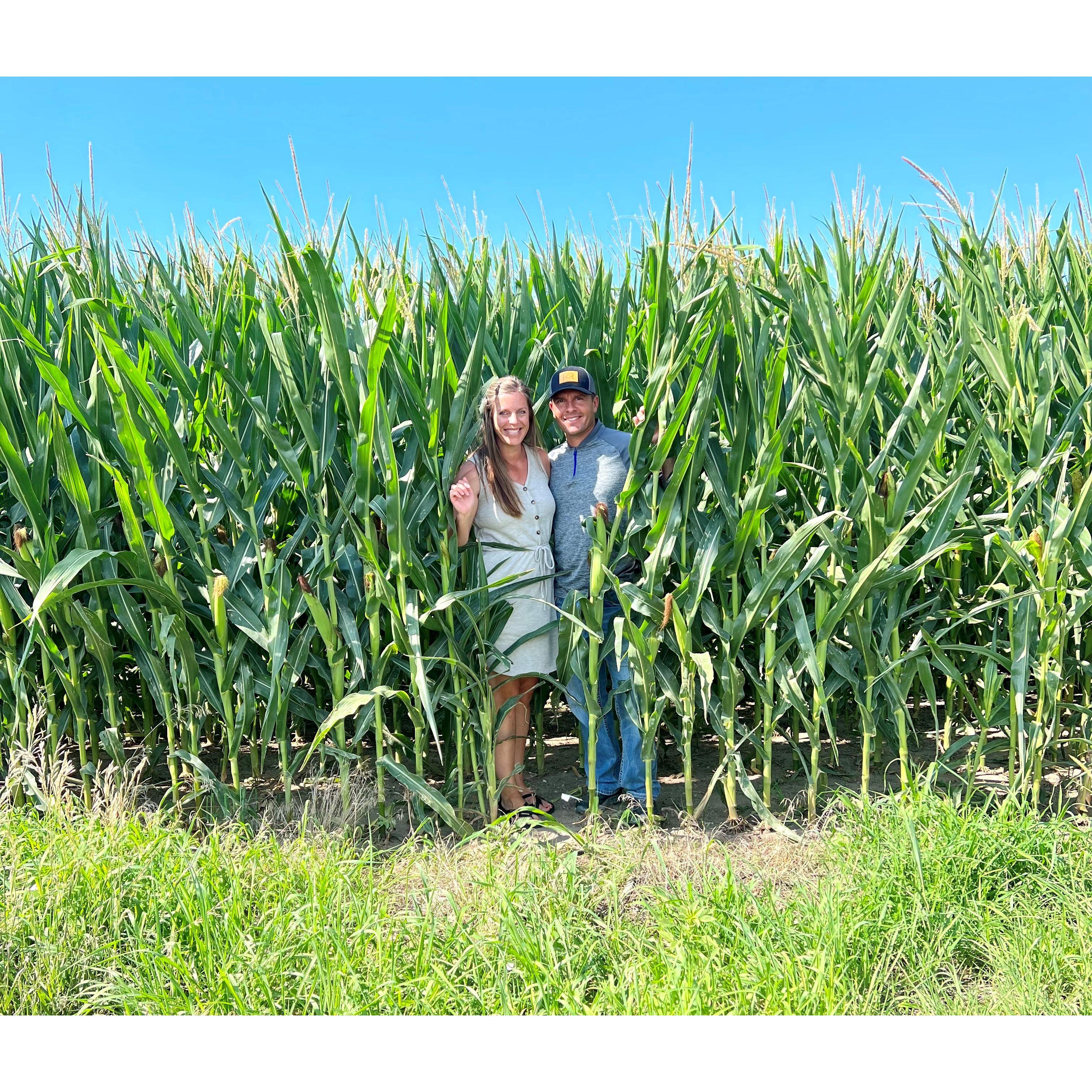 I didn't know corn grew this tall :) Might make me a Husker yet!