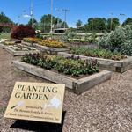 Legion Memorial Park