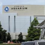 Virginia Aquarium & Marine Science Center