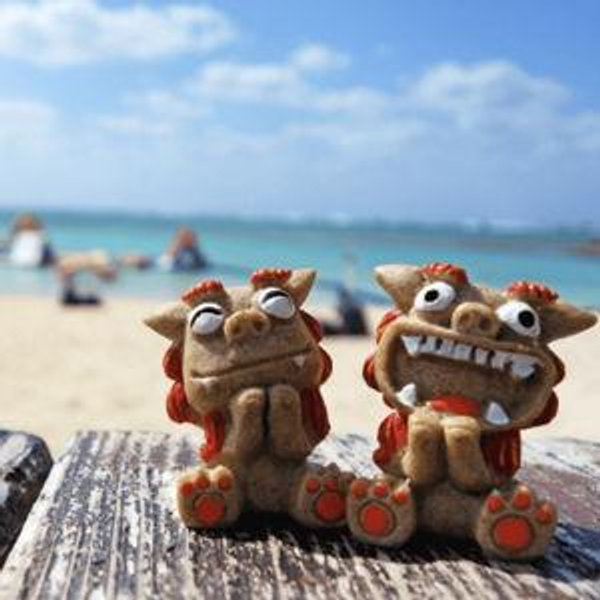 Honeymoon / Adventure Fund